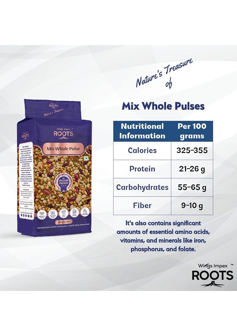 Wings Impex Roots Roots Mix Whole Pulses – Premium Unpolished Lentil Blend | 500 g