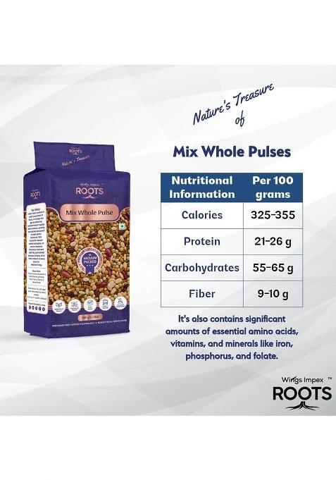 Wings Impex Roots Roots Mix Whole Pulses – Premium Unpolished Lentil Blend | 500 g