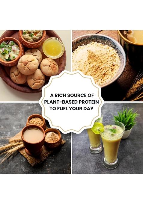 Pro Poshan Sattu Powder – Natural Roasted Chana Flour | 500gm