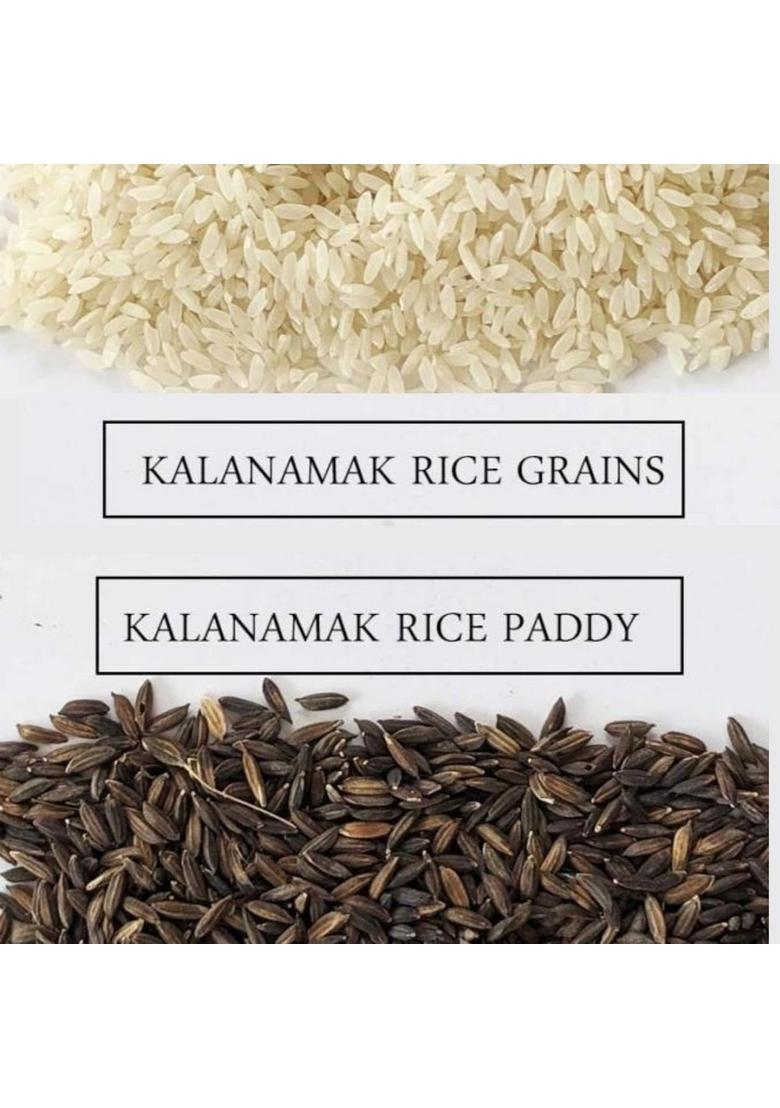Rice Walah Kala Namak Rice – Aromatic Unpolished Buddha Rice | 1kg