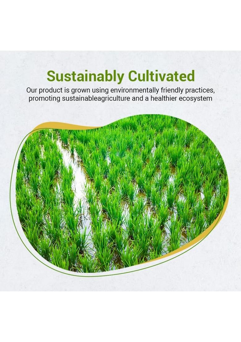 Future Foods Jasmine Rice 900 Gram|Thai Fragrant Rice|Packed With Phytonutrients|Enhances Fibre Intake|Beneficial For Diabetic Patients|Product Of Thailand