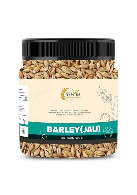 Organic Nature Raw Barley Seeds Jau Grain 250 Grams (Pack Of 1 Grams) Jar Pack