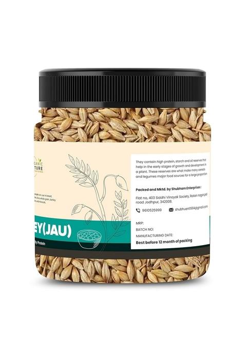 Organic Nature Raw Barley Seeds Jau Grain 250 Grams (Pack Of 1 Grams) Jar Pack