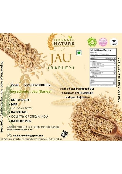 Organic Nature Raw Barley Seeds Jau Grain 250 Grams (Pack Of 1 Grams) Jar Pack