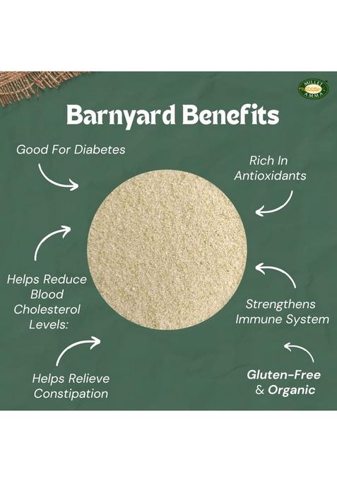 Millet Amma Certified Organic Barnyard Rava 1000 Gms ( Sujji ) | Stone Ground Healthy Diet Food Suitable For Multiple Recipes Upma , Idly Gluten Free, High Fiber, No Preservatives