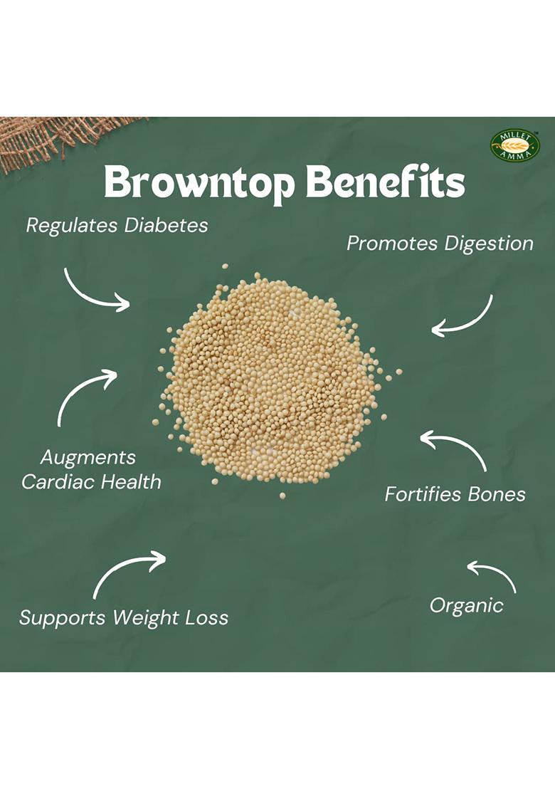 Millet Amma Certified Organic Browntop Millet Grain, Whole Grain