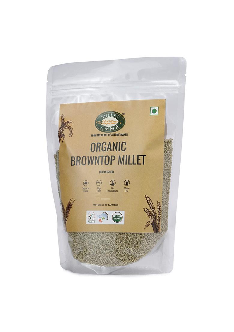 Millet Amma Certified Organic Browntop Millet Grain, Whole Grain