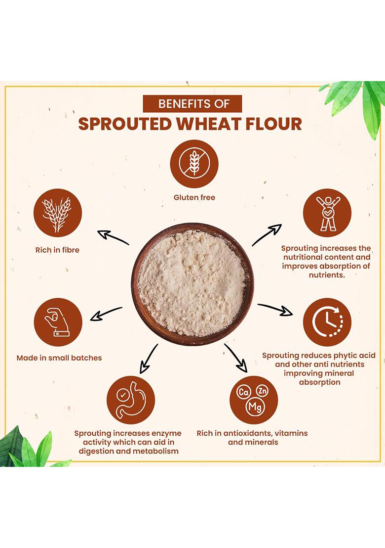 Rootz Organics Sprouted Wheat Flour 900Gm With 100% Whole Lokwan Grains | Soaked Sprouted Dried And Cold Milled | Easy To Digest, Prevents Bloating, High In Nutrients & Fibre For Soft Rotis/Chapatis