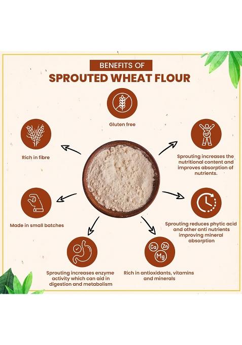 Rootz Organics Sprouted Wheat Flour 900Gm With 100% Whole Lokwan Grains | Soaked Sprouted Dried And Cold Milled | Easy To Digest, Prevents Bloating, High In Nutrients & Fibre For Soft Rotis/Chapatis