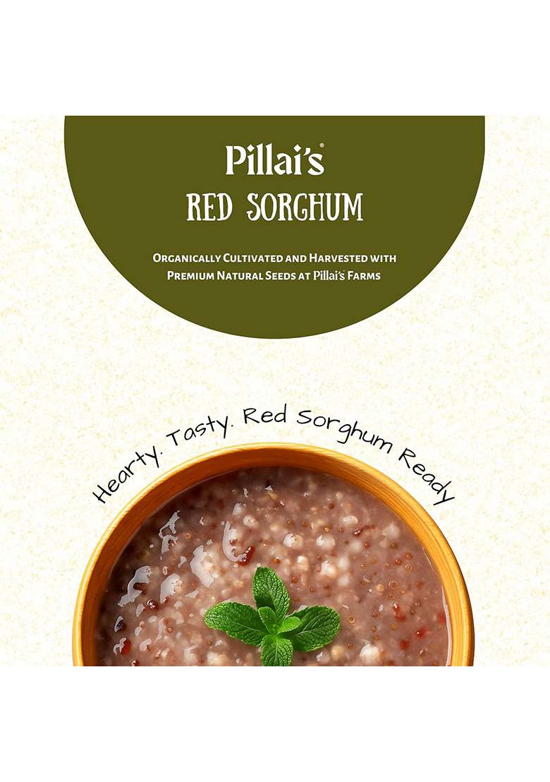Rr Pillai