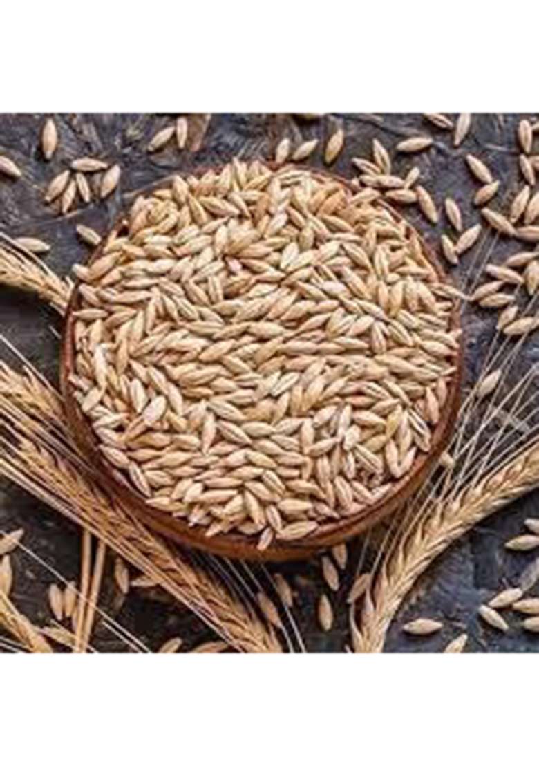 Sweet Energy Barley Grain Natural And Rich Fiber Jau Seeds Pack Of 1 Kg - Indya