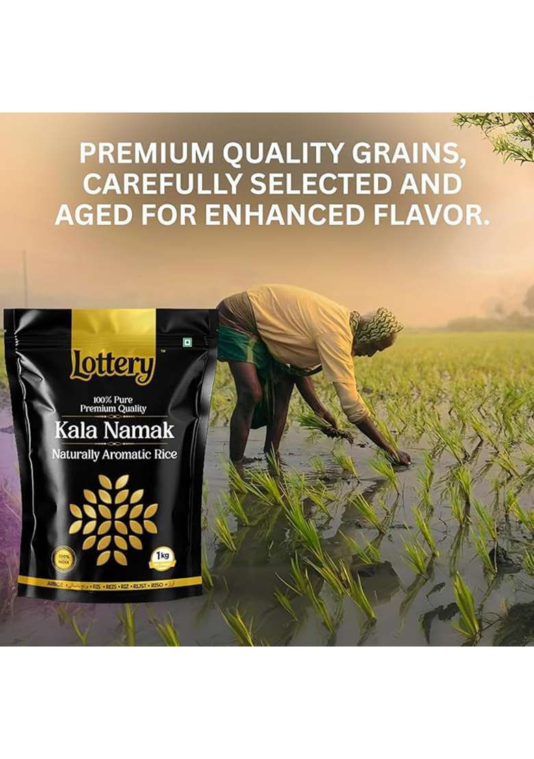 Lottery Rice 1Kg | Naturally Fragrant Whole Grain Indian Rice | Healthy & Nutrient-Rich Ancient Variety (Kala Namak Rice) - Indya