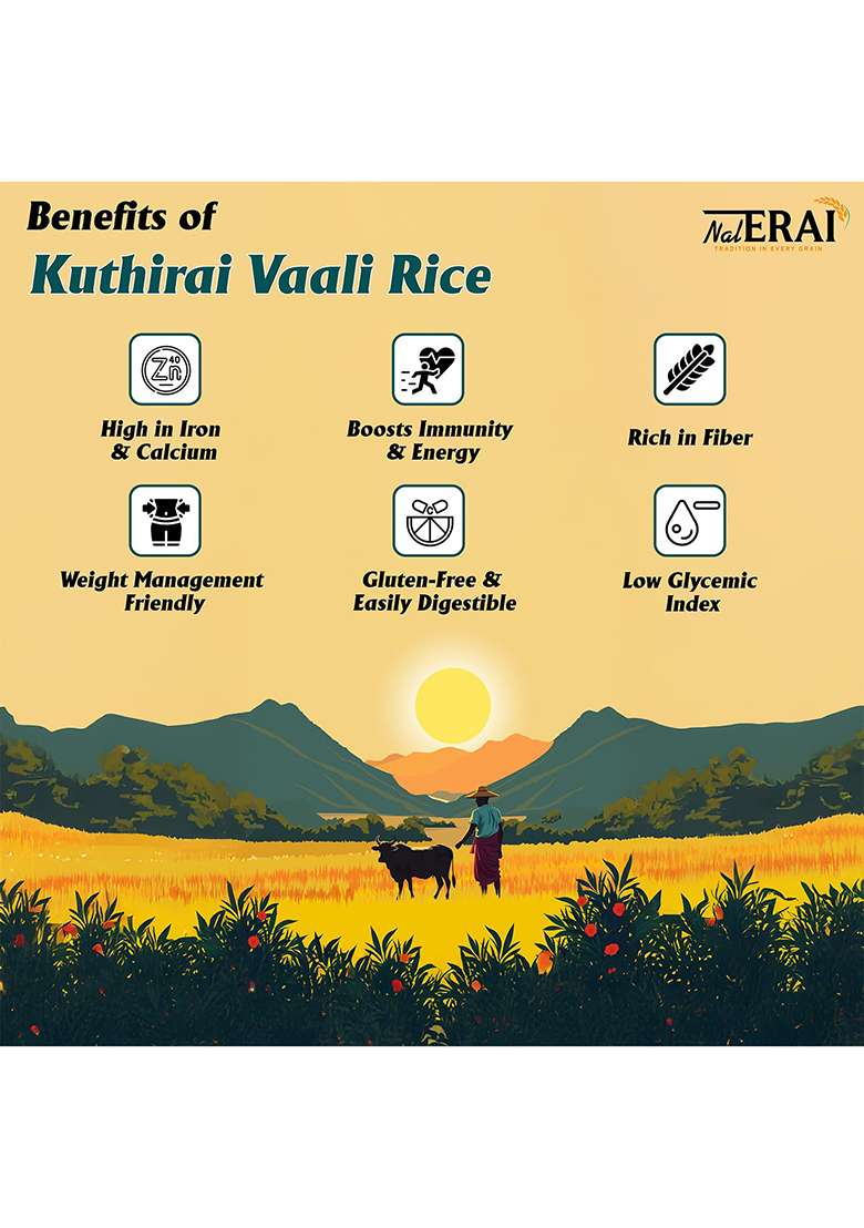 Nalerai Kuthiraivali Rice, Barnyard Millet, Parboiled 100% Natural, 1Kg - Indya