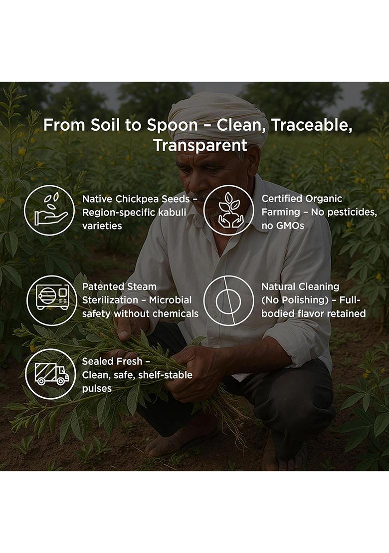 Pure & Sure Organic Kabuli Chana Dal 500Gm | 100% Natural & Unpolished Pulses | Rich In Protein | No Cholesterol No Additives | Chemical Free & Pesticides Free| Steam Sterilized