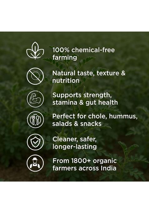 Pure & Sure Organic Kabuli Chana Dal 500Gm | 100% Natural & Unpolished Pulses | Rich In Protein | No Cholesterol No Additives | Chemical Free & Pesticides Free| Steam Sterilized