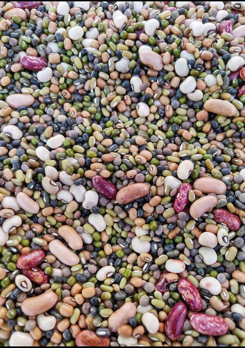 Raindrop Home Products - Eat Right, Live Right Super Food Of Uttarakhand - Authentic Organically Grown Mix Dal Whole/Pachrangi 750 Gm - Indya