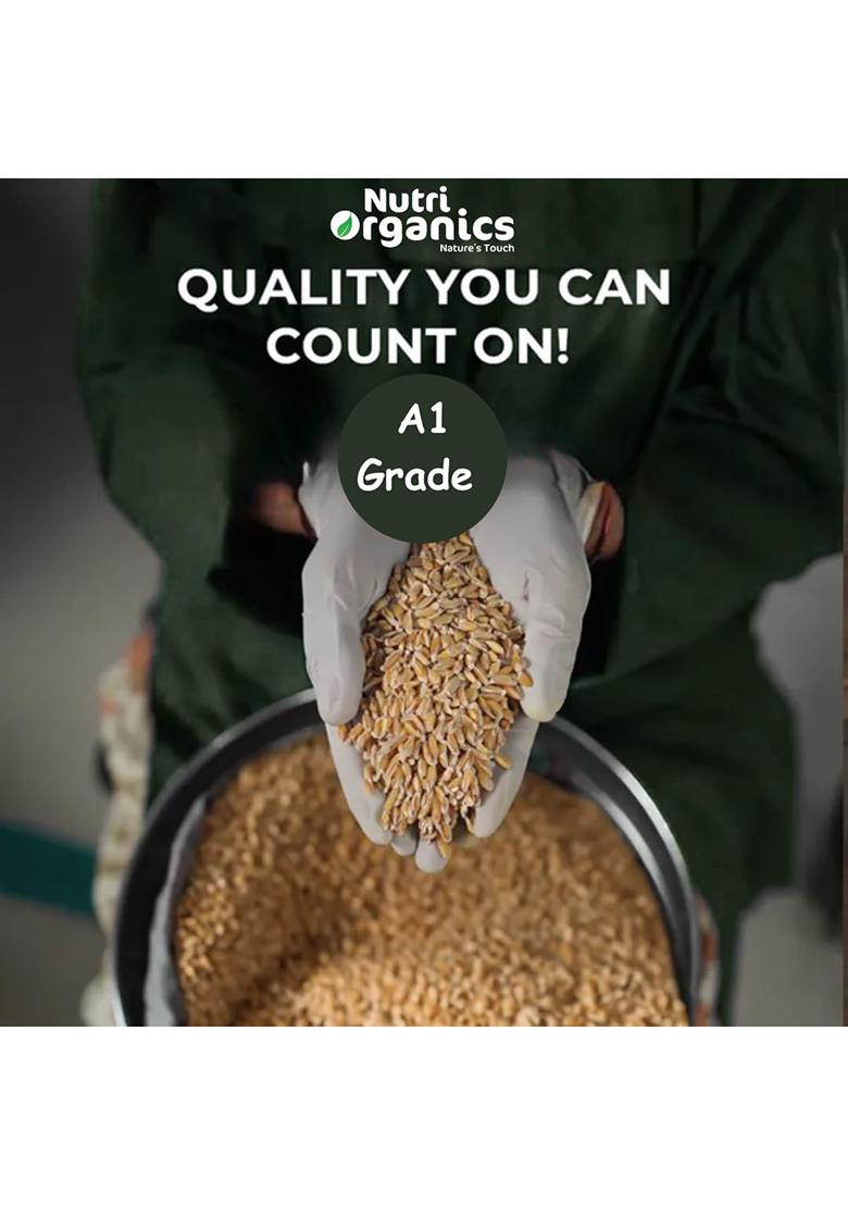 Nutri Organics Khapli Wheat Flour