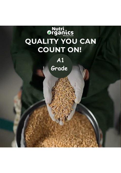 Nutri Organics Khapli Wheat Flour