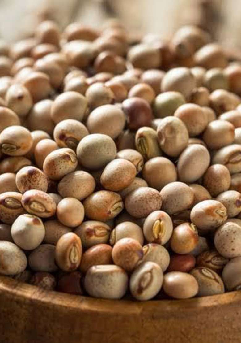 Satvadaily Toor Whole 250G | Pigeon Pea - Rich Source Of Protein | Thogari Kalu | Whole Gram | Arhal/Arhar | Whole Toover Beans | Kandulu - Indya