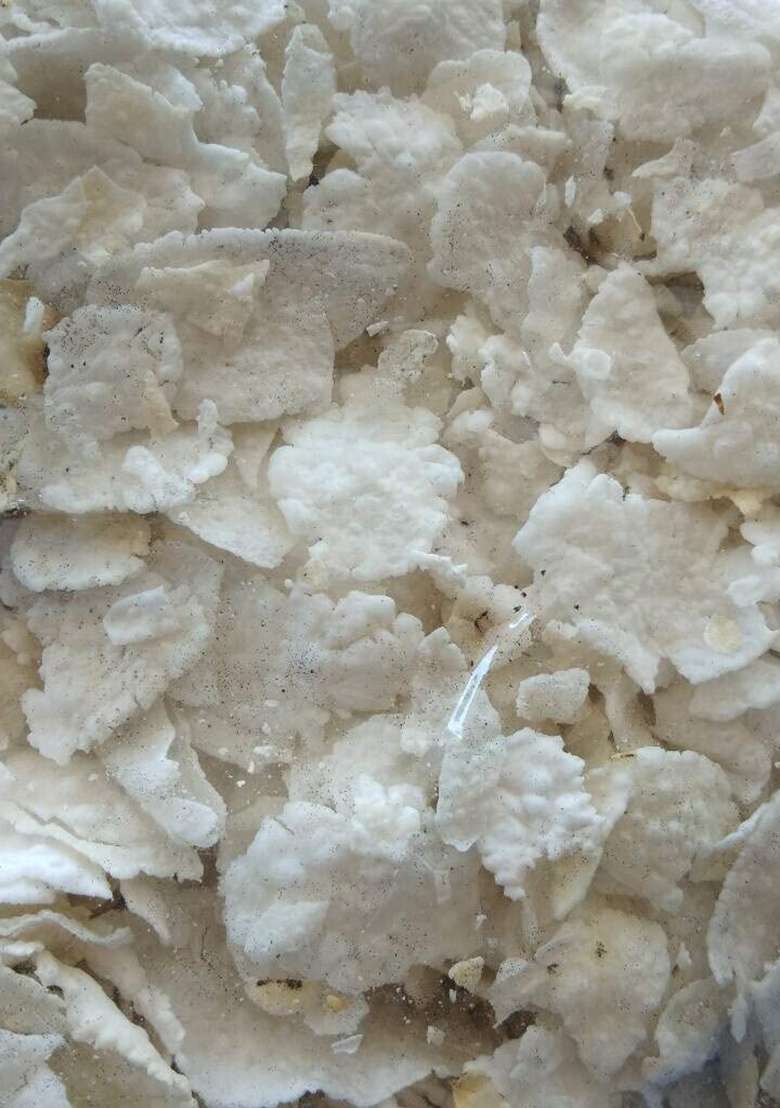 Veganic Sago Flakes | Sabudana Flakes | Healthy Breakfast Food | Sabutdana Chivda | Fast/Falhari/Upwas Foods (900G) - Indya