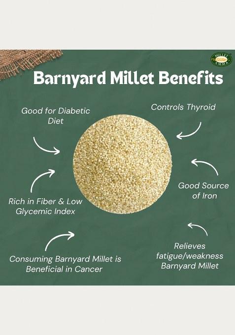 Millet Amma Certified Organic Barnyard Millet | 1 Kg (500G X 2 Packs) | Unpolished Barnyard Millet Grains | 100% Vegan & Gluten Free | Rich In Protein & More Fiber Than Rice |