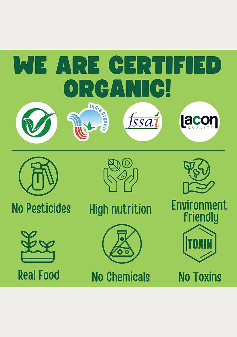 Tummy Friendly Foods Certified Organic Sprouted Ragi Powder For Baby | Maximum Possible Nutrition From Real Food | Available In Trial Baby Packs Too | Shelf Life 6 Month | 200G