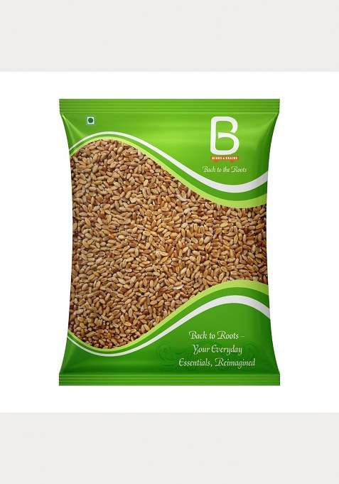 Beans Grains Premium Whole Wheat Grain For Stoneground Chakki Fresh Atta Quality High Fiber Protein 100% Natural Unpolished Wheat Kernels Pack Of 1 Kg