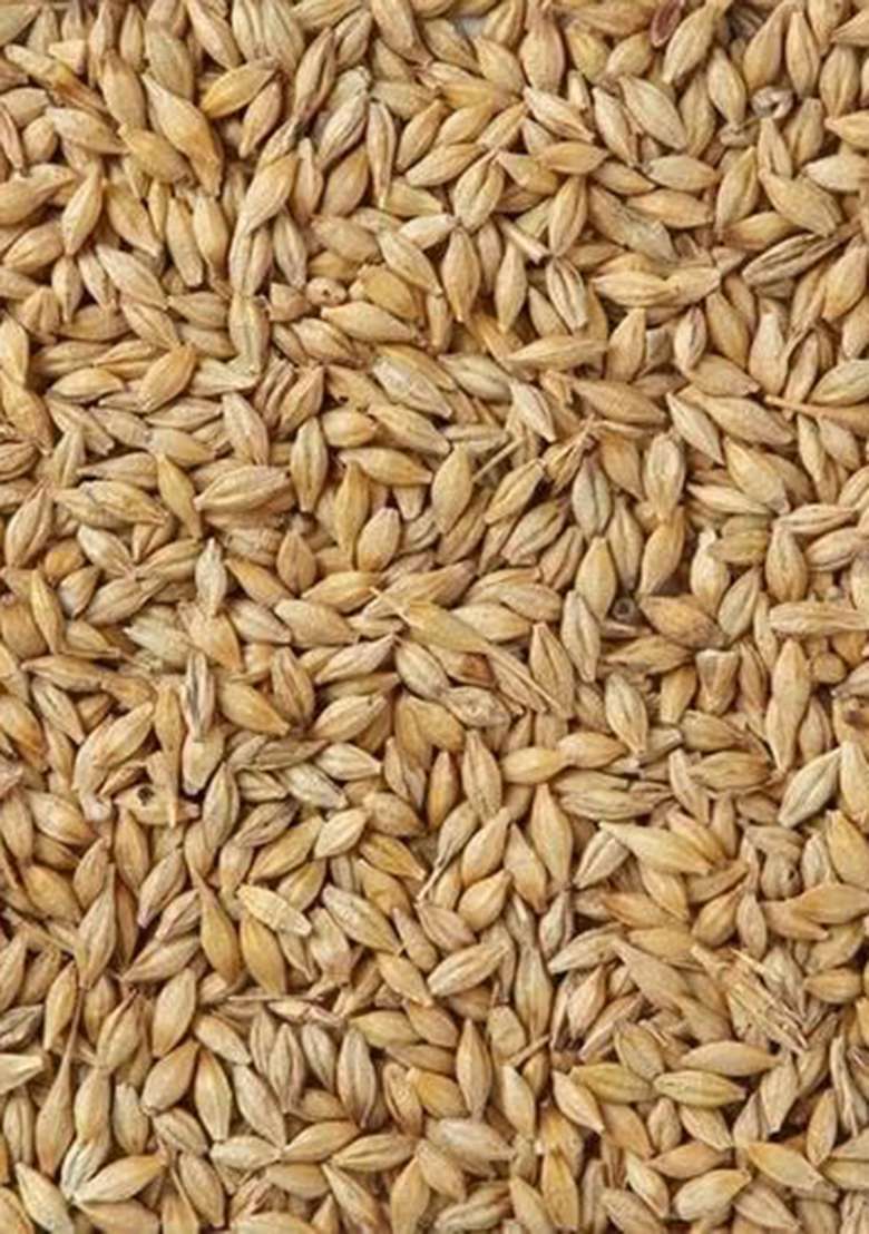 Sindhi Kako Natural Barley Grain Jau Seeds | Rich In Fiber | 400 Gram Pack | Healthy Whole Grain For Wholesome Nutrition - Indya