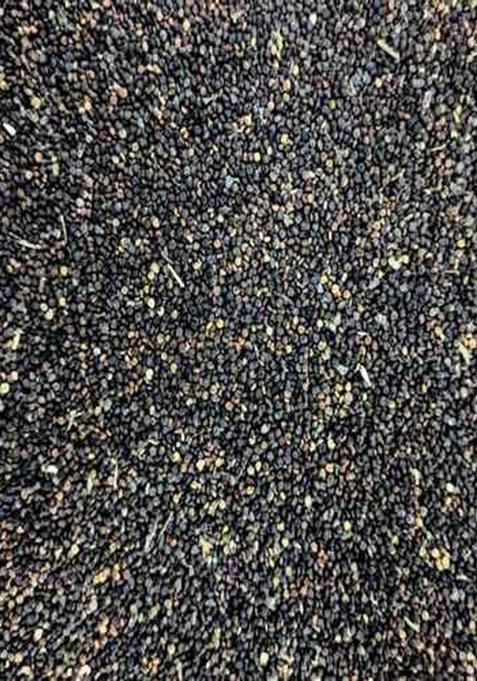 Pmw - Vamitalu - Vamitlu - Cleome Pentaphylla Seeds - 500 Grams