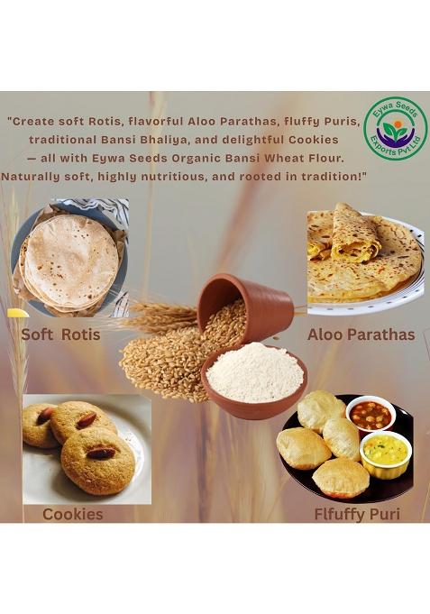 Organic Bansi Bhaliya Whole Wheat Grains (2 Kg) | Whole Grains For Eating And Cooking | |Bansi Bhaliya Daane | Produce Of India From Organic Farms | By Eywa