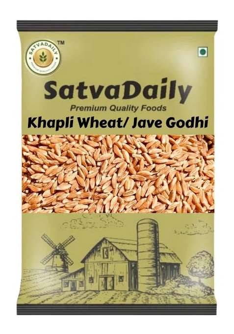 Satvadaily Khapli Wheat Jave Godhi 400G | Samba Whole Emmer Wheat | Java Godhuma