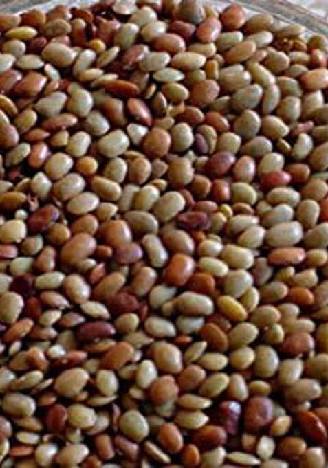Bague Kulthi Dal Whole Horse Gram Dal Kollu Vulavalu Hurali Kalu Beans Paruppu Gahat Dust Ulavalu (1 Kg)