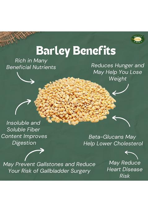 Millet Amma Organic Barley Grain 2Kg (500 Gm X 4 Pack)