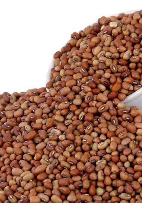 Lal Lobia/Red Cowpea 450 Gram/Red Kidney Beans/Karamani