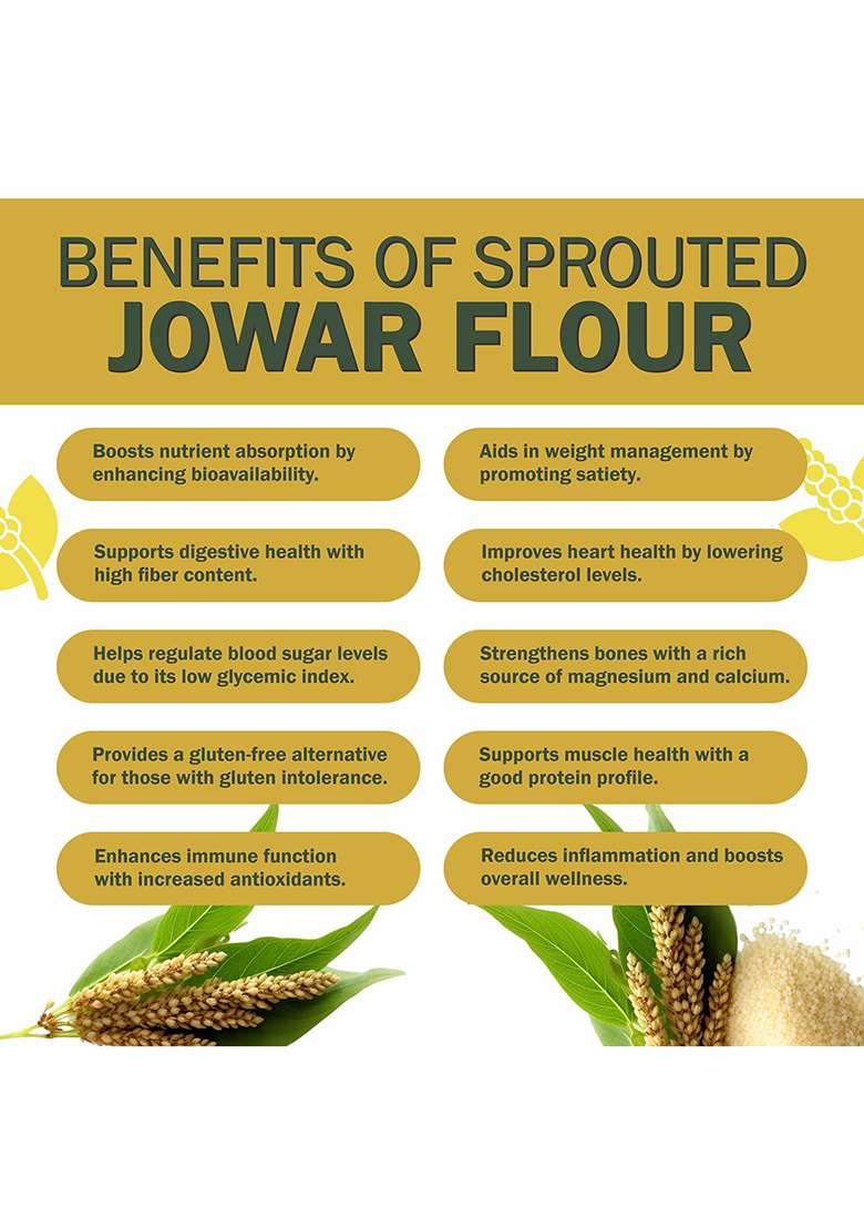 Nutriplato-Enriching Lives Sprouted Jowar Flour, 700G - Indya
