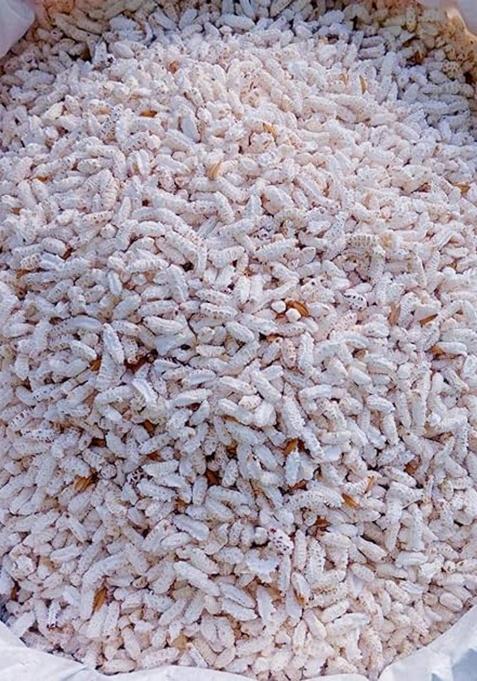 Ananya Kisan 100%Lahi Rice | 250 Grams | Layi | For Puja | Kheel Rice