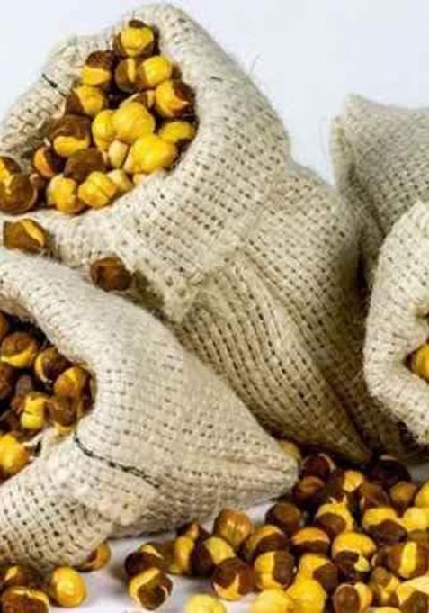 Roasted Chana 1Kg, Desi Roasted Chana Gluten Free Unsalted Whole With Skin .Bhuna Chana,Roasted Chana For Weight Loss,Roasted Chickpeas(500G Two Pack)