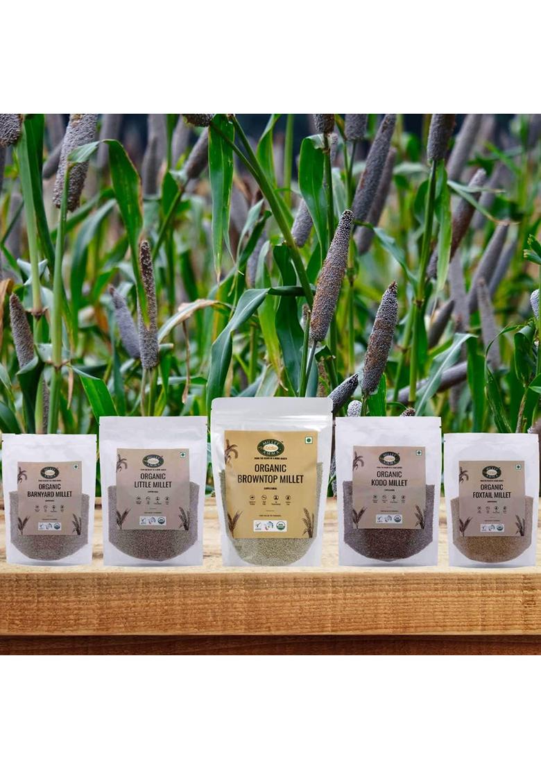 Millet Amma Organic Gluten Free Unpolished Little Millets For Overall Wellness And Balanced Nutrition