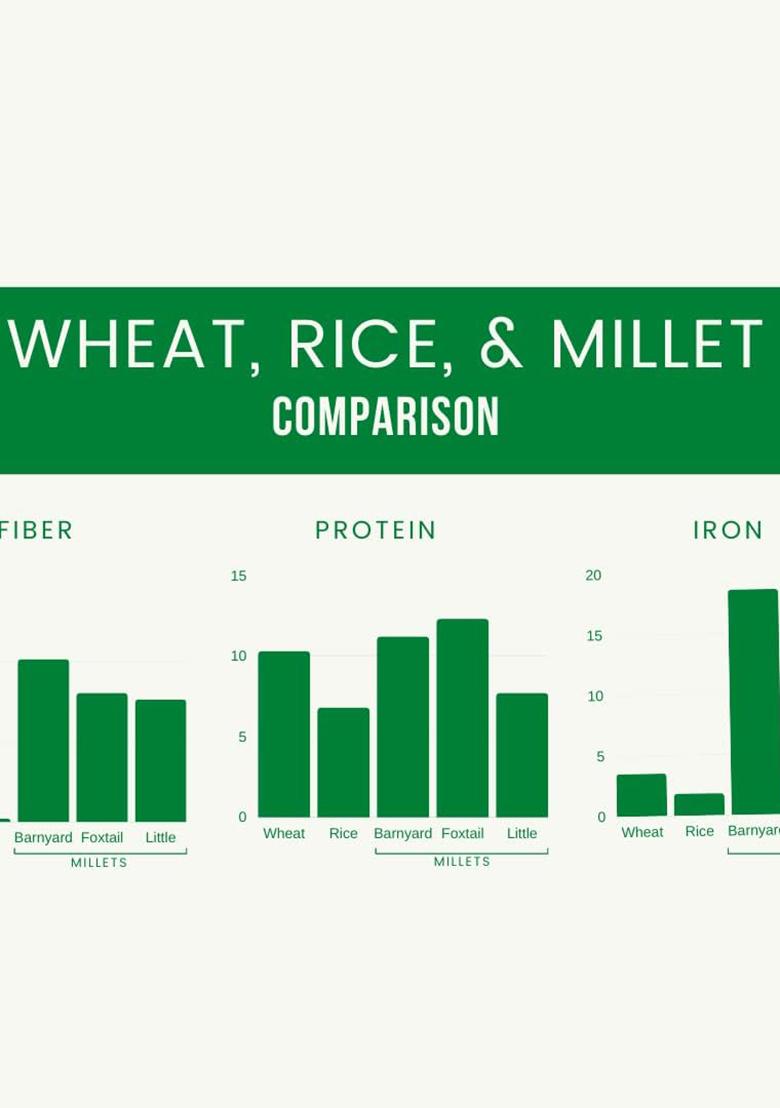 Millet Amma Organic Gluten Free Unpolished Little Millets For Overall Wellness And Balanced Nutrition