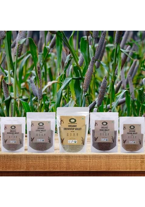 Millet Amma Organic Gluten Free Unpolished Little Millets For Overall Wellness And Balanced Nutrition