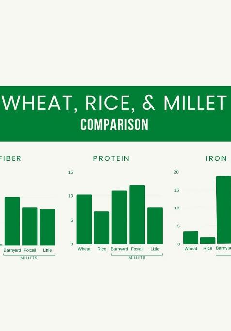 Millet Amma Organic Gluten Free Unpolished Little Millets For Overall Wellness And Balanced Nutrition