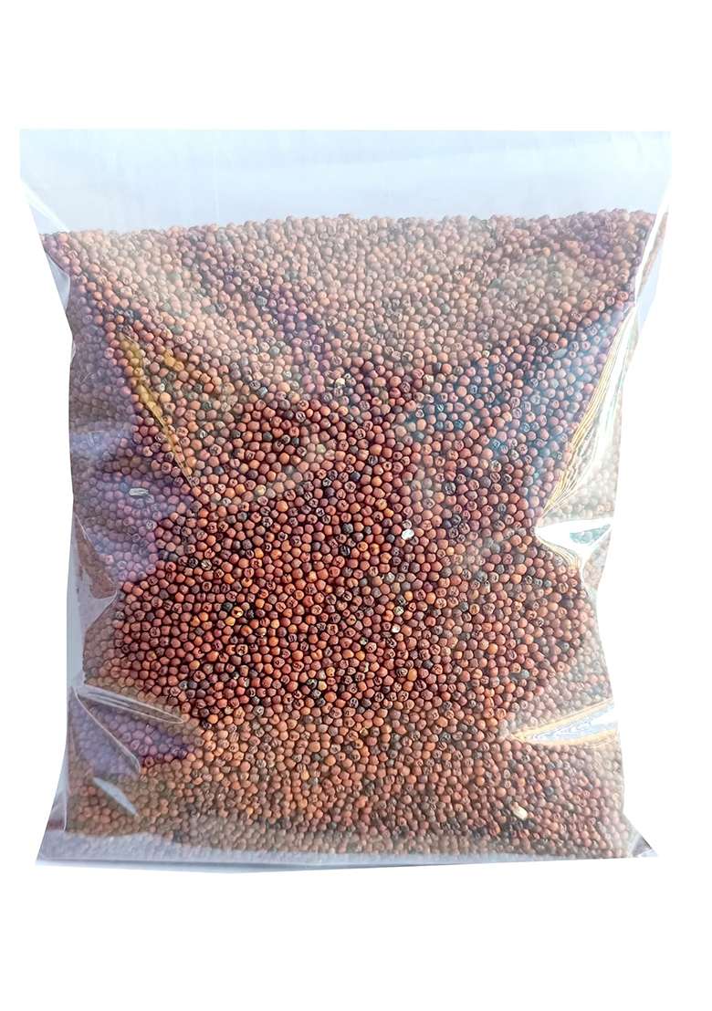 Saara Ragi Grain(Finger Millet)500 Grams - Indya