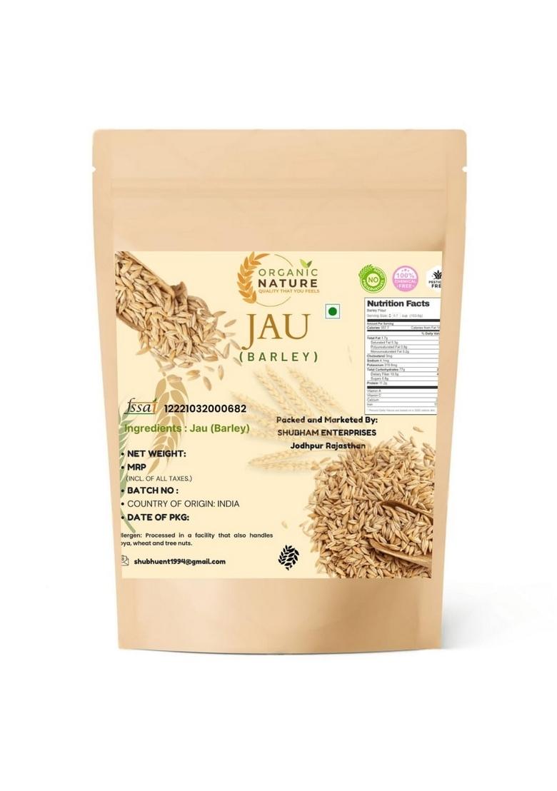 Organic Nature Raw Barley Seeds (Jau) (400 Gram)