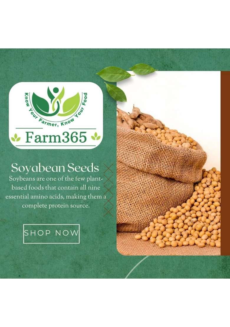 Farm365 Whole Soyabean Seeds - Source Of Dietary High Fiber And Protein, Rich In Antioxidants, Fresh Pulses Yellow Dana Soybean (500Gm) - Indya