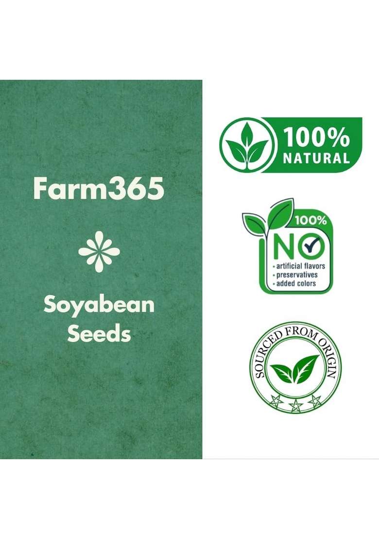 Farm365 Whole Soyabean Seeds - Source Of Dietary High Fiber And Protein, Rich In Antioxidants, Fresh Pulses Yellow Dana Soybean (500Gm) - Indya