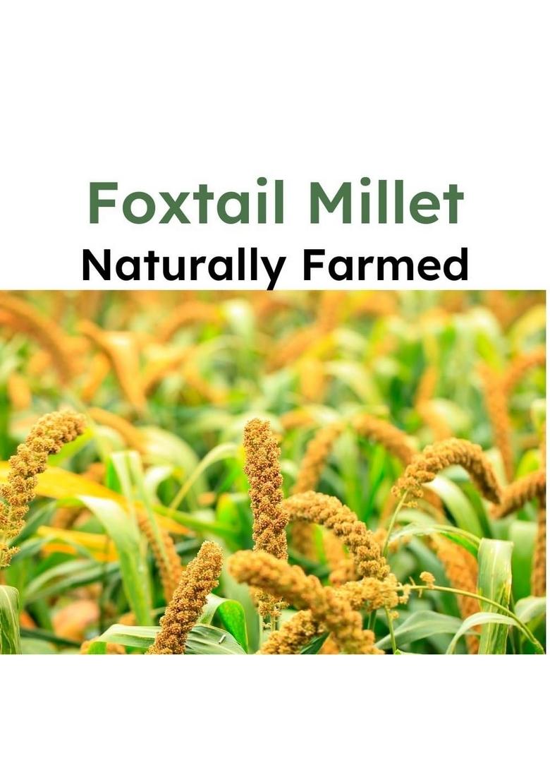 Forgotten Foods "Foxtail Millet" 900G