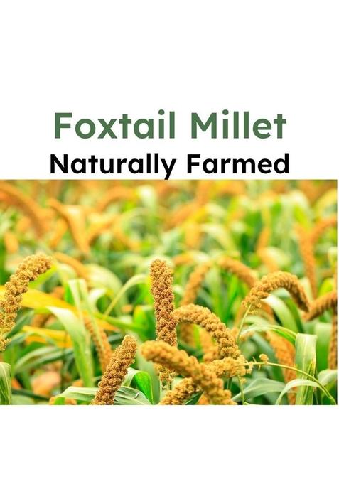 Forgotten Foods "Foxtail Millet" 900G