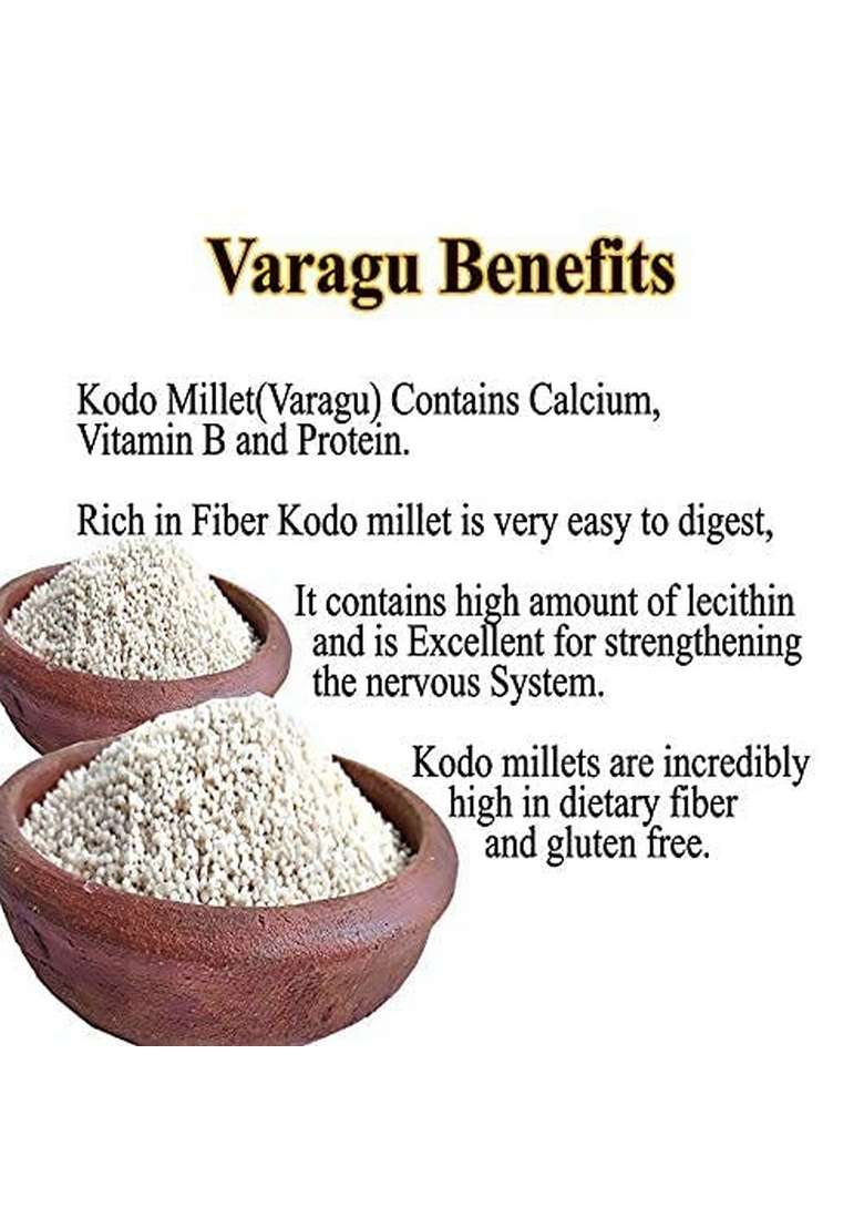 Saara Herbal Fresh Kodo Millet 450G | Varagu Rice Arikelu Harka Kodon Kodra - Indya