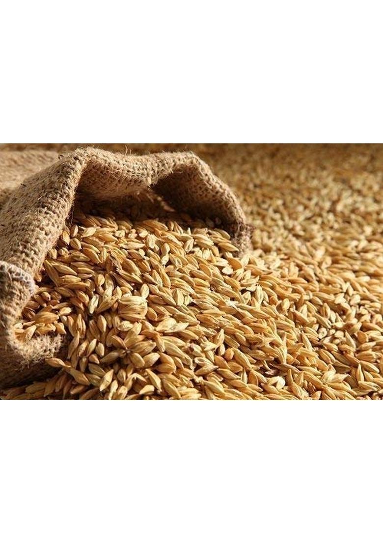 Organic Charitra Jau Sabut (Barley Whole Grain)| 900 Gram Packing| With Fibre, Vitamins & Minerals| For Weight Loss Improves Digestion| Rich In Nutrients| Heart Healthy