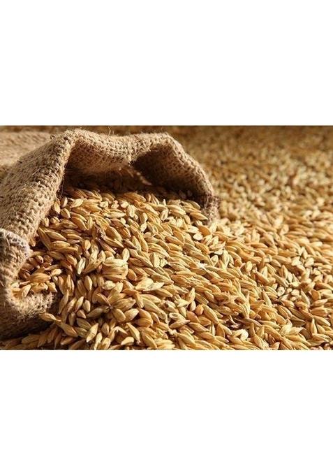 Organic Charitra Jau Sabut (Barley Whole Grain)| 900 Gram Packing| With Fibre, Vitamins & Minerals| For Weight Loss Improves Digestion| Rich In Nutrients| Heart Healthy